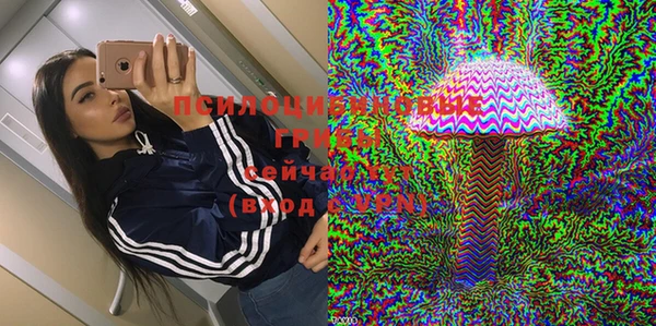 стаф Фёдоровский