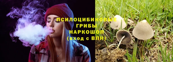 бутират Иннополис