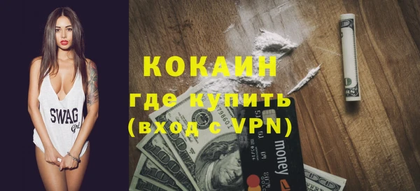 дурь Инсар
